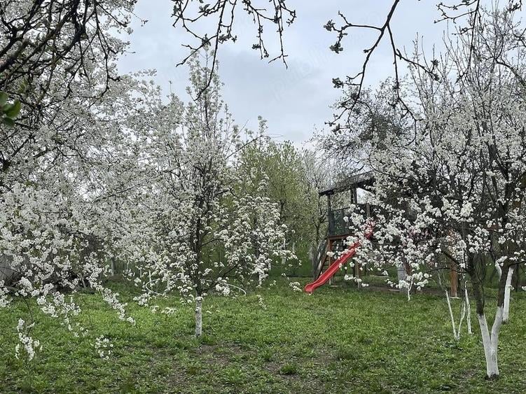 Buzesti(Farcasa), linga Biserica,casa 2 camere, baie, beci , anexe ,20 ari gradina ,pret 68.000 euro - 2