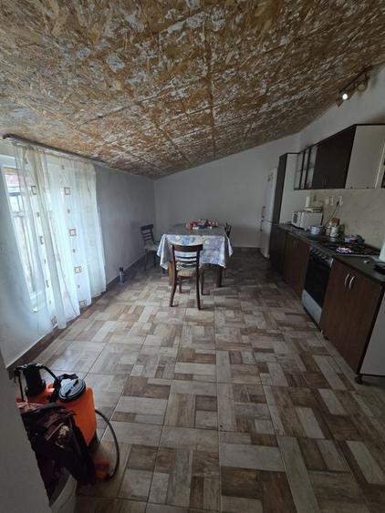 ? Casă renovată cu teren generos - Ciacova, Timiș, 800 mp teren - 6
