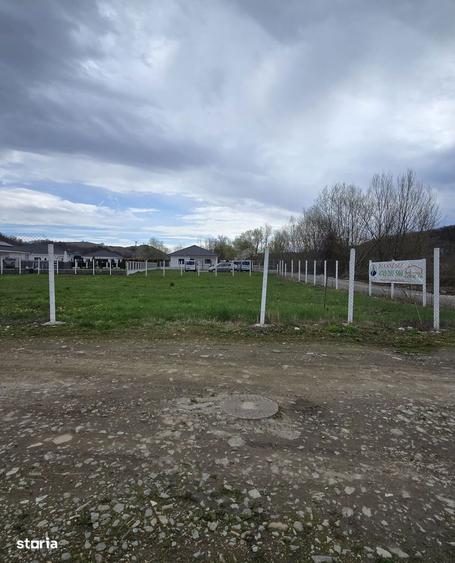 Teren drept ca-n palma - 5