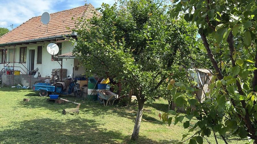 Casa de vanzare la tara - 3