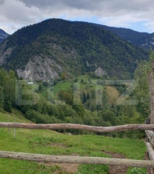 Teren 13.570 mp, Moieciu Pestera - 8