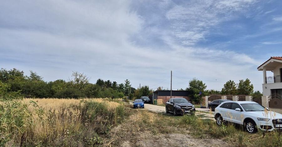 Teren intravilan 1000 mp - Domnesti - 8