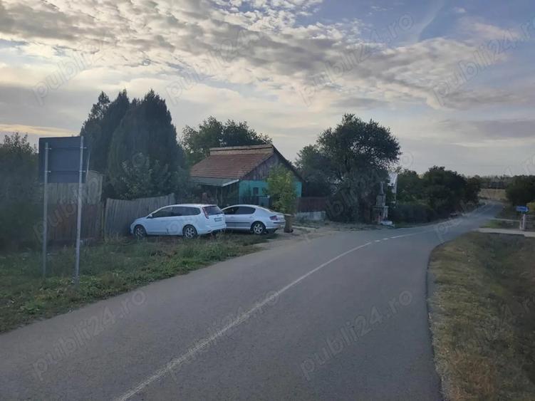 Casa cu teren 2200 mp si hala noua de 154 mp in localitatea Bodrogu Nou la 10 km de Arad - 6