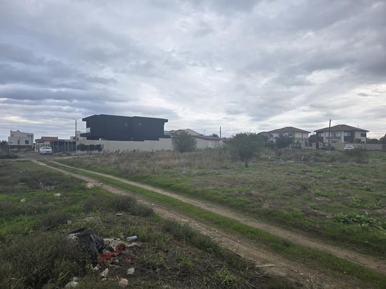 Oferte vanzari terenuri in Palazu Mare - 5