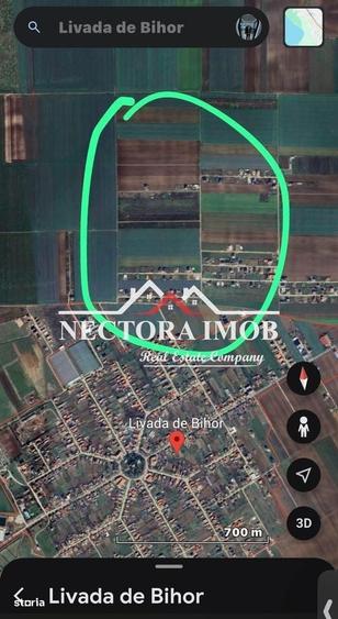 NECTORA IMOB-Ocazie-Teren Intravilan 567 mp, Livada de Bihor,Utilitati - 3