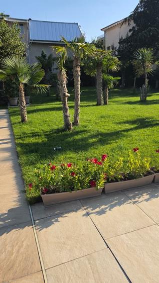 Casă individuală cu 9 camere cu Piscina în Iancu Nicolae
