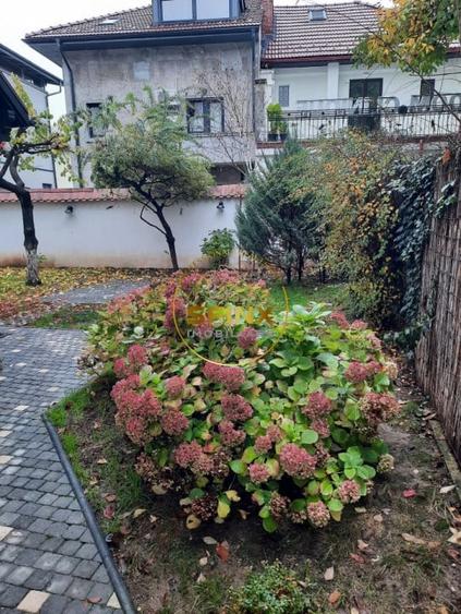 Dorobanti Capitale, vilă interbelică renovata, de inchiriat pentru birouri - 31