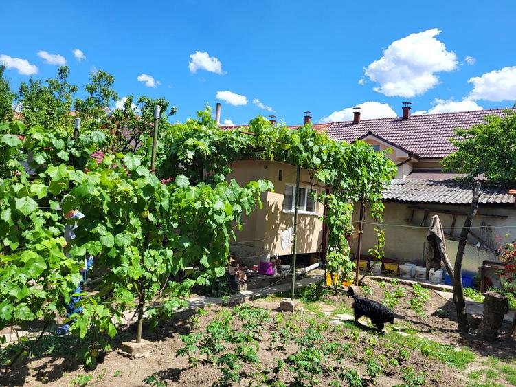 Vand casa in D.Cantemir - 6