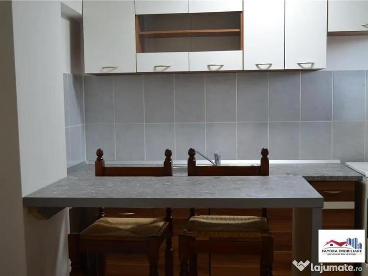 Apartament 1 Camera Mobilat si Utilat de Zona Dambu Pietros - 6