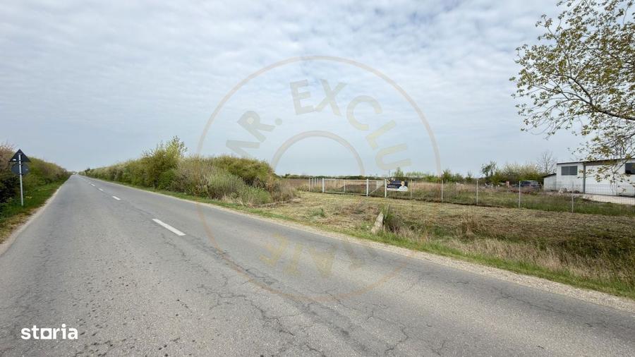 Teren Intravilan 1300 mp / Extravilan 3.700 mp/ DJ 196B Carei (DN 1F) - 7