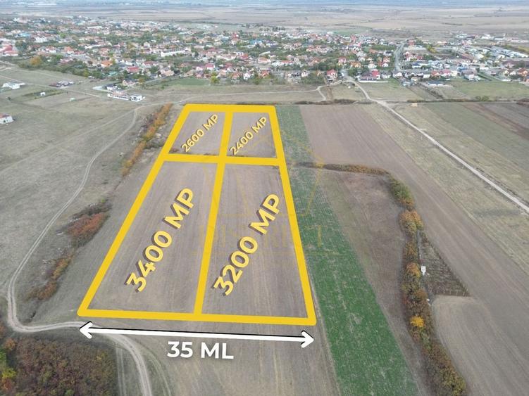 Teren arabil Intravilan 11600mp | LmP | Remetea Mare | COM 0% - 1