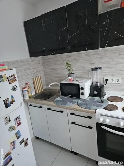 CI617 Telegrafului-Lorena,1 camera,Renovata - 3