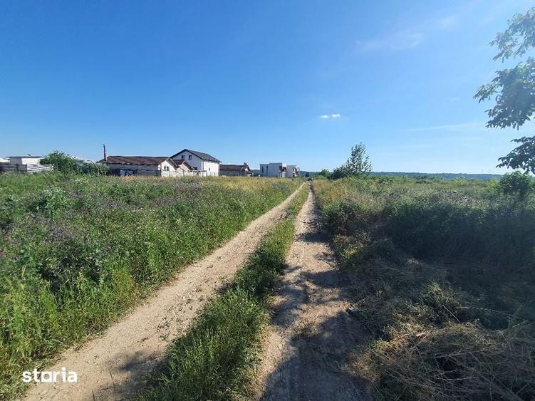 Teren de vanzare in Catargiu - 1