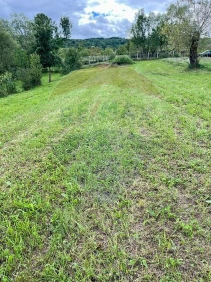 Teren 1,884mp Berbesti / Drumul secundar - 5