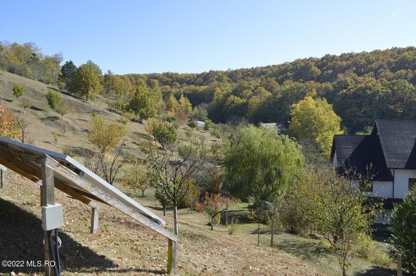 Topoloveni - Conacul Ion Mihalache, Domeniu pe 5 Hectare! - 41