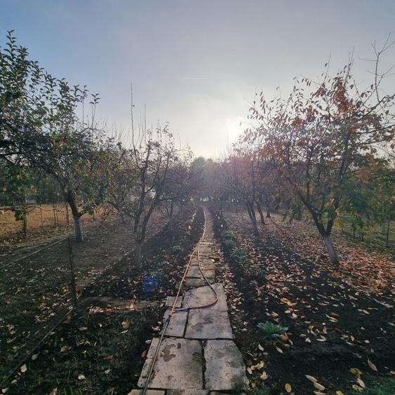 Pipera | Gradina | Iesire la lac | Terasa - 27