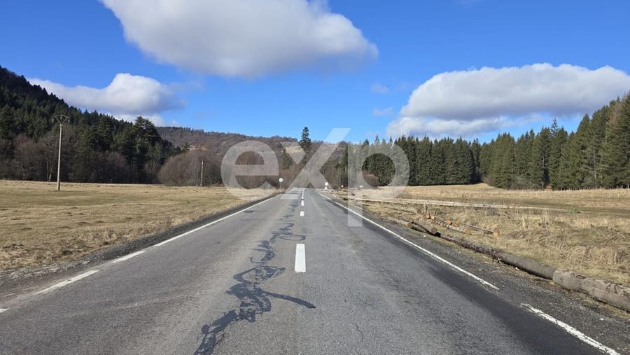 Teren extravilan 19.200 mp – DN1A Săcele, Brădet | Front stradal 130 ml - 6