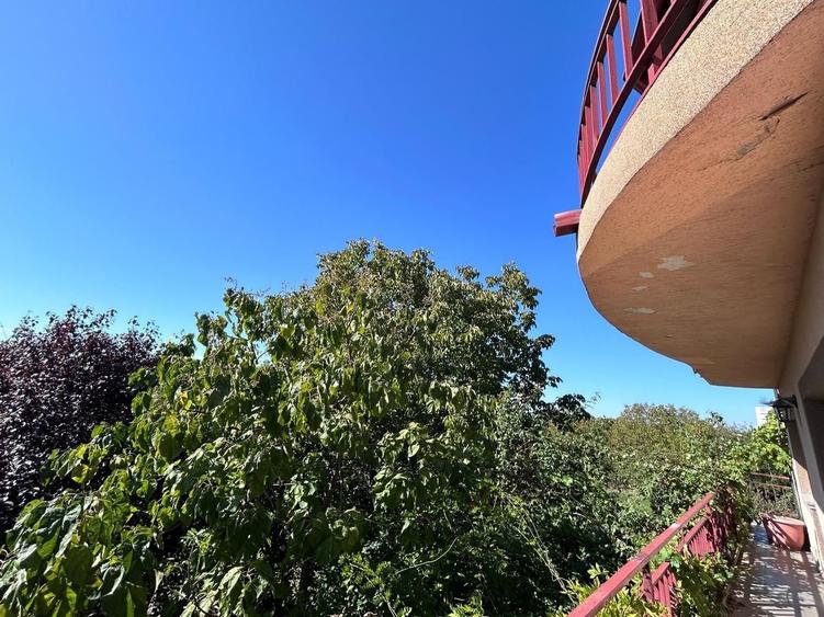 Casă individuală Buftea, 3.162 mp teren, ieșire spre lac - 40