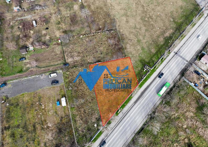 Teren intravilan - Str. Isaccei, 1000MP - 11