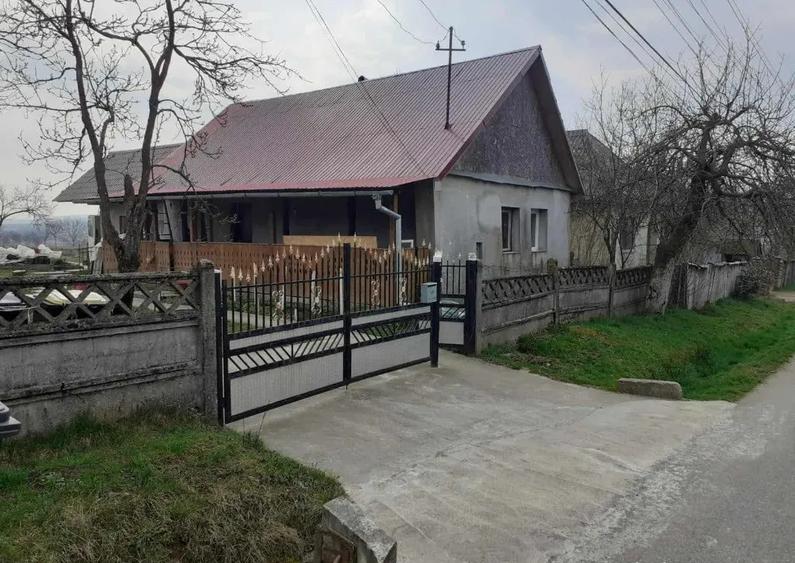 Asuaju de Sus, casa , 40 ari teren - 1