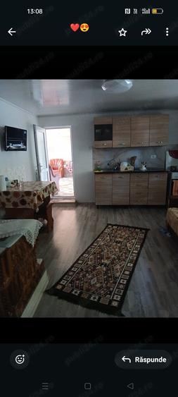 casa de vanzare urgent cu vie ?i pomi fructiferi - 3