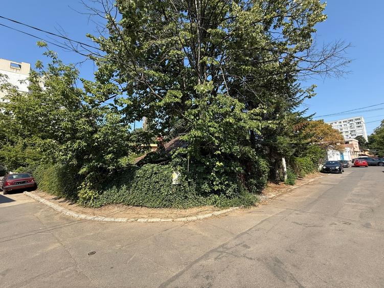 Teren in oras, Tatarasi, 678mp - 4