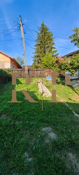 Teren 532 MP si Anexe de Vanzare * Poiana Campina* - 8