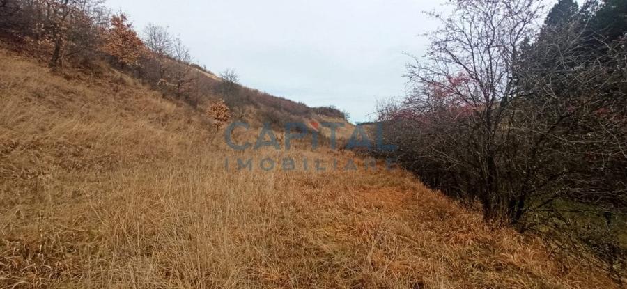 COMISION 0 LA CUMPARARE !! Teren de vanzare in Savadisla ! - 7