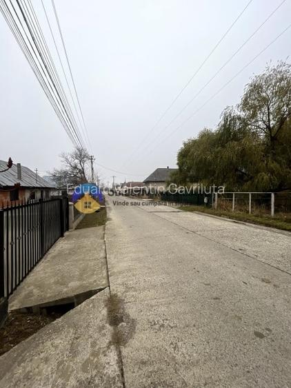 Teren Vadurele de vanzare 1776 mp