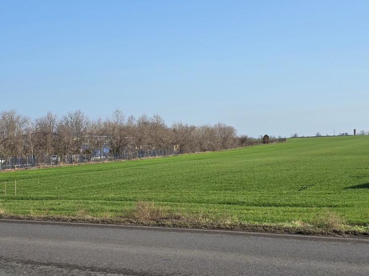 Teren de vanzare in Agigea zona Registrul Auto - 2