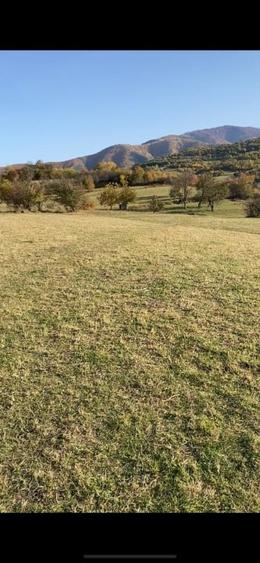 O oportunitate care îți atinge sufletul: Teren de vis la ieșirea din Rășinari - 7