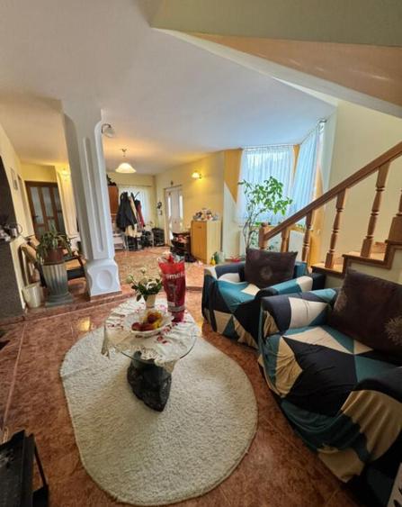 CASA DE VIS SAU AFACERE DE SUCCES BAIA SPRIE - 14