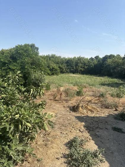 Vand casa in sat patlageanca jud tulcea - 2