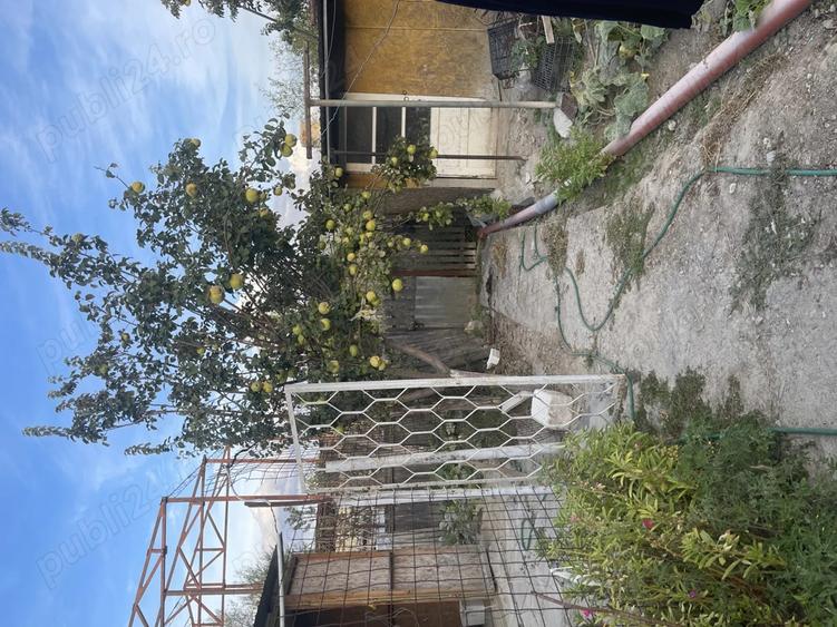 Casa + teren 610 mp Tulcea, Str. Orizontului utilita?i complete - 5