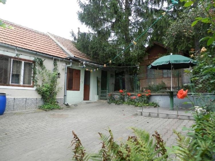 Casă de vânzare în Calnic, Alba – liniște, natură și potențial turistic - 5