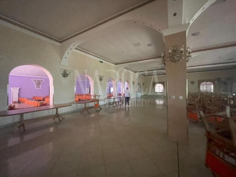 Teren intravilan industrial de vanzare in Episcopia Bihor Oradea, Oradea - 4