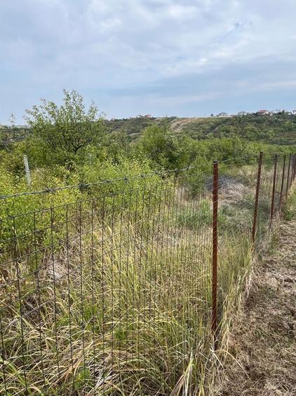 VAND 1000 M Teren INTRAVILAN ,Zona Adevarului Strada LIVEZILOR - 2