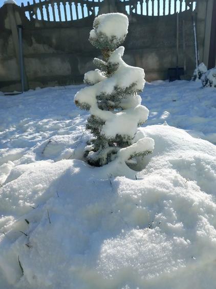 Proprietar vand casa Craiovei P+1+M - 1