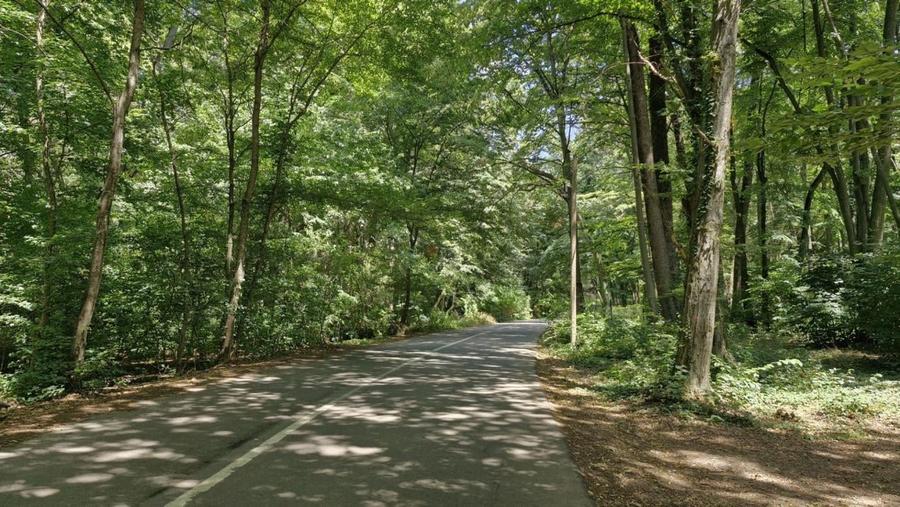 Teren intravilan | Snagov | Izvorani | 2800mp | Stradal - 3