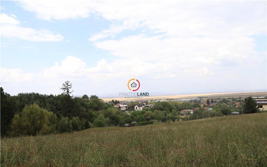 Teren intravilan cu PUZ si PUD 2 loturi - 5