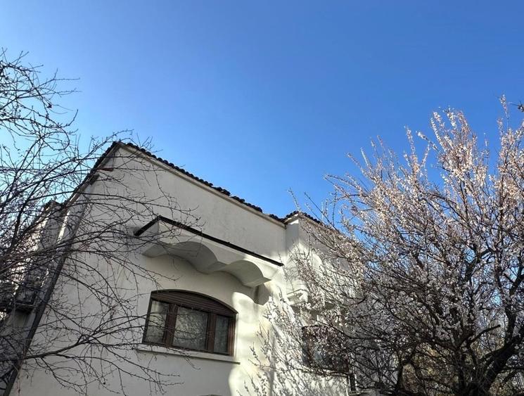 Ocazie unica! Vila individuala, garaj, teren 420 mp - 1