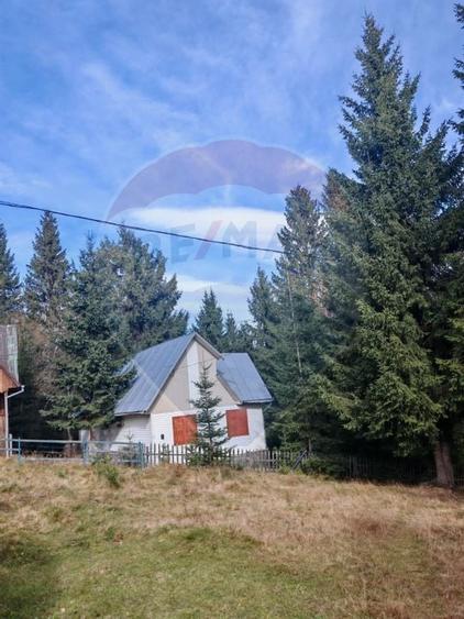 Cabană de vânzare în Muntele Băișorii – Zona Jera - 11