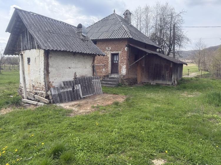 Vand casa batraneasca si teren - 4