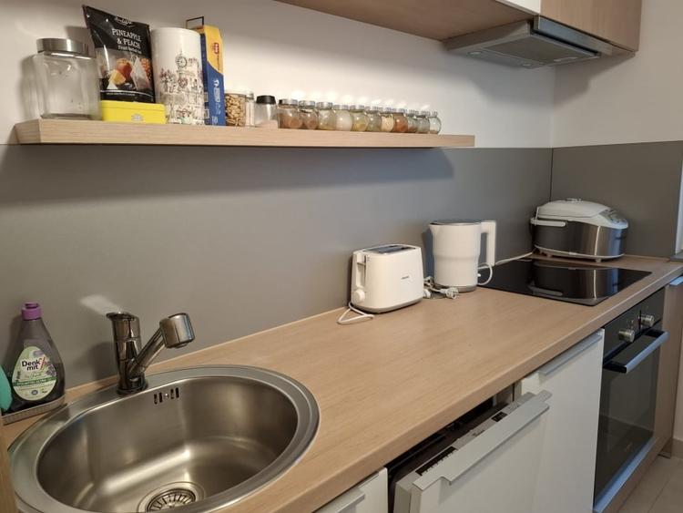 Garsoniera - decomandata - Camil Ressu - 6