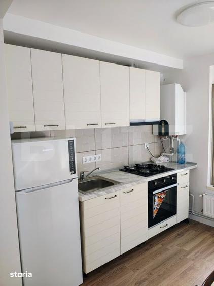 Apartament de inchiriat,pretabil pentru locuit sau birou,Cetate - 6