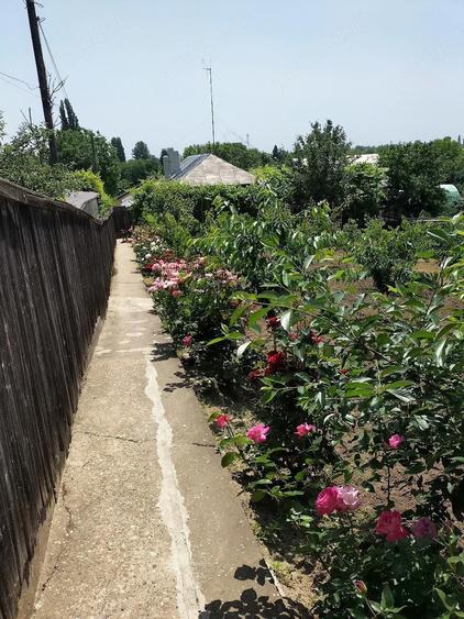 Vand casa Tecuci - 4