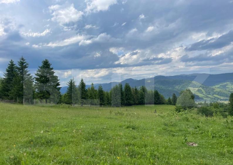 Teren de vanzare, Campulung Moldovenesc, zona Sandru, 2 ha - 7