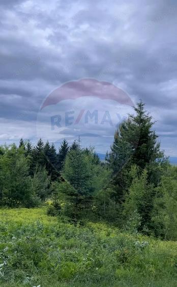 Teren Sacele / Strada Valea Larga 2000 mp - 7