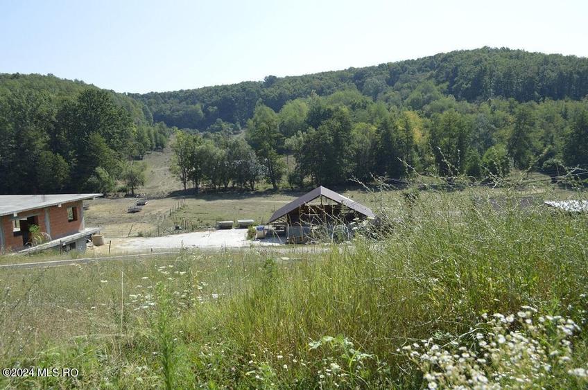 Bogati - Glimbocel, cladire cu suprafata utila 538 mp, teren 1000 mp! - 5