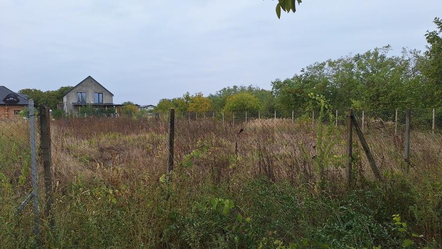 Vand teren localitatea Branesti Ilfov - 4